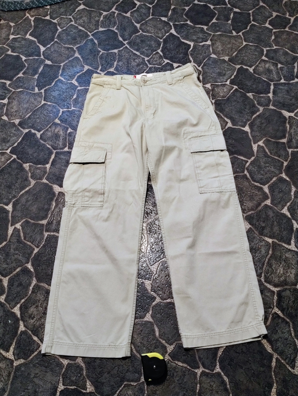 LEVIS Cargo pantsmens
